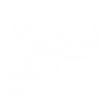 242836_150.png